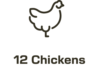 12 Chickens icon